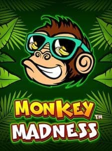 Monkey Madness